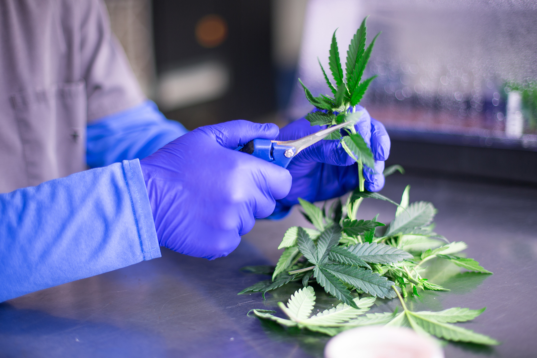 Science & Innovation at Aqualitas